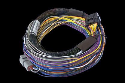 Haltech Elite 750 + Basic Universal Wire-in Harness Kit Length: 2.5m (8')