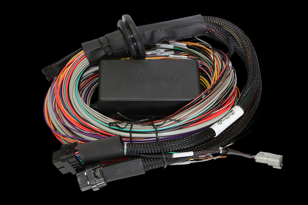 Haltech Elite 1500, 2500 & 2500 T Premium Universal Wire-in Harness Length: 2.5m (8')
