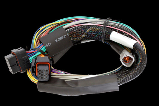 Haltech Elite 1500, 2500 & 2500 T Basic Universal Wire-in Harness Length: 2.5m (8')