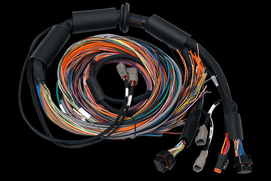 Haltech Nexus R3 Universal Wire-in Harness Length: 2.5m (8')