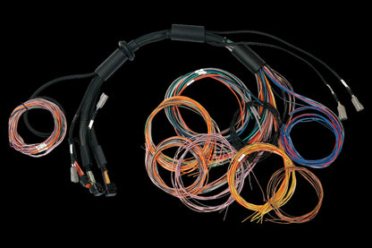 Haltech Nexus R3 Universal Wire-in Harness Length: 2.5m (8')