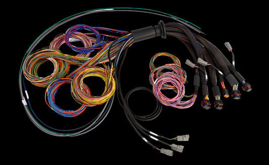 Haltech Nexus R5 Universal Wire-in Harness Length: 5m (16')